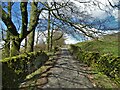 Old Road leading to Brookfield Cottage in SK17 6XH
