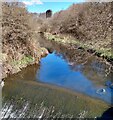 North Calder: Upstream from weir in ML6 8PX