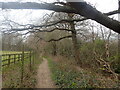 Footpath from Cranbrook in TN17 2PR