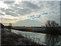 River Ouse  South of Bromham looking towards Kempston in MK40 4XA