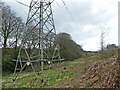 Power lines, above Temple Brook in DT8 3LD