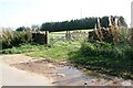 Field gateway on SE side of rural road opposite Dovergate Plantation in CA11 8US