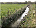 East Hams Lane, minor tributary of R. Parrett in TA18 8FJ