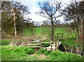 Footbridge over the Kingsclere Brook in RG19 8AW