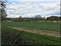 Farmland east of Micheldever Woods in SO24 9UB