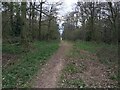 Fire break & access track - Micheldever Woods in SO24 9UB