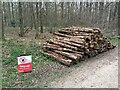 Logging in Micheldever Woods in SO24 9UB