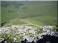Northeast spur above Coire Dubh in IV40 8JL