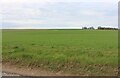 Field by Therfield Road, Kelshall in SG7 6SE