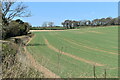 Field north of Yew Tree Lane in SP5 1LR