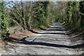 Tree-lined lane near Warren Farm Cottages in SP5 1LU