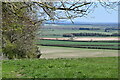 Edge of woodland with view towards Middle Wallop in SP5 1BS