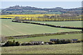View towards Danebury Hill in SO20 8DS