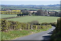 The Warren, descending towards the A30 in SO20 8DS