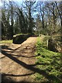 Former railway bridge Dava Way in IV36 2PU