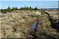 Puddle in a Rut in AB55 6UH