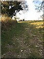 Path heading towards Pithill Farm in PL21 0JJ