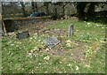 Iping Marsh: a spring churchyard (2) in GU29 0PJ