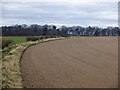 Arable land, D'Arcy in EH22 5LW