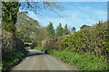 Lane towards Little Parmoor Farm in RG9 6NN