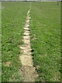 Stone trod across the field in YO18 8SG