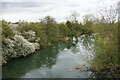 River Nene near Northampton in NN4 9XW