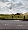 Electricity pylon in ML1 5TY