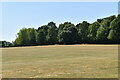 Coney Hall Recreation Ground in BR4 9EF