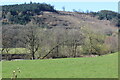 Closcoed, south of River Usk in LD3 7ST