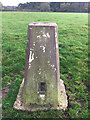 Grange Farm Trig Point Flush Bracket S2262 in B79 9DL
