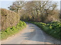 Bradfield Road a Quiet Lane in Swafield