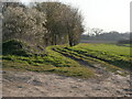 Farm Track and Footpath in Swafield