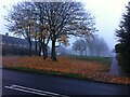 November morning on Geraldsfield Road in B33 0AS
