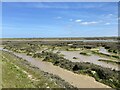 Potton Creek at low tide in SS3 0BY