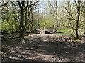 New Footbridge on Path in Swafield