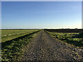 Footpath by Ghant Farm in PE15 0JR