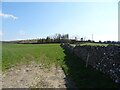 Grazing and stone wall towards Uberash Plain in LA6 2PJ