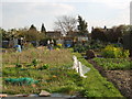 Stanstead Road Allotments Plot 41 2007 in EN11 0ER