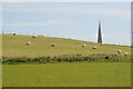 Sheep and the spire of Eldersfield church in GL19 4PP