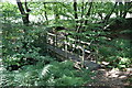 Footbridge, Clippingham Stream in TN21 9QA