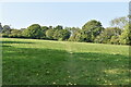 Footpath crossing field in TN21 9QA