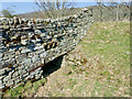 Culvert in dry stone wall plus relief pipes in DL12 0UX