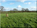 View to the east from Cofton Common trig in B48 7AR