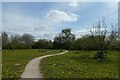 Path in Nether Poppleton Millennium Green in YO26 6NY