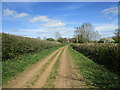 Byway towards Thornby in NN6 8SG