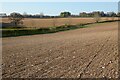 Farmland, Leckhampstead in RG20 8QW