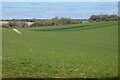Farmland, Peasemore in RG20 7DF