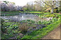 Pond in Thenford Arboretum in Thenford