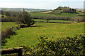 Field below Hood Copse in TQ9 6DZ
