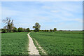 Teversham: footpath to Quy in CB1 9AS